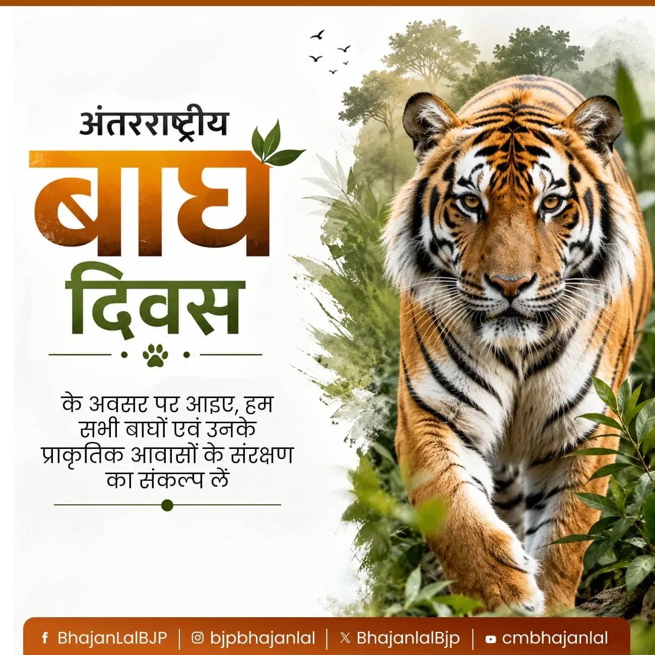 CM Bhajan Lal calls for tiger conservation on International Tiger Day