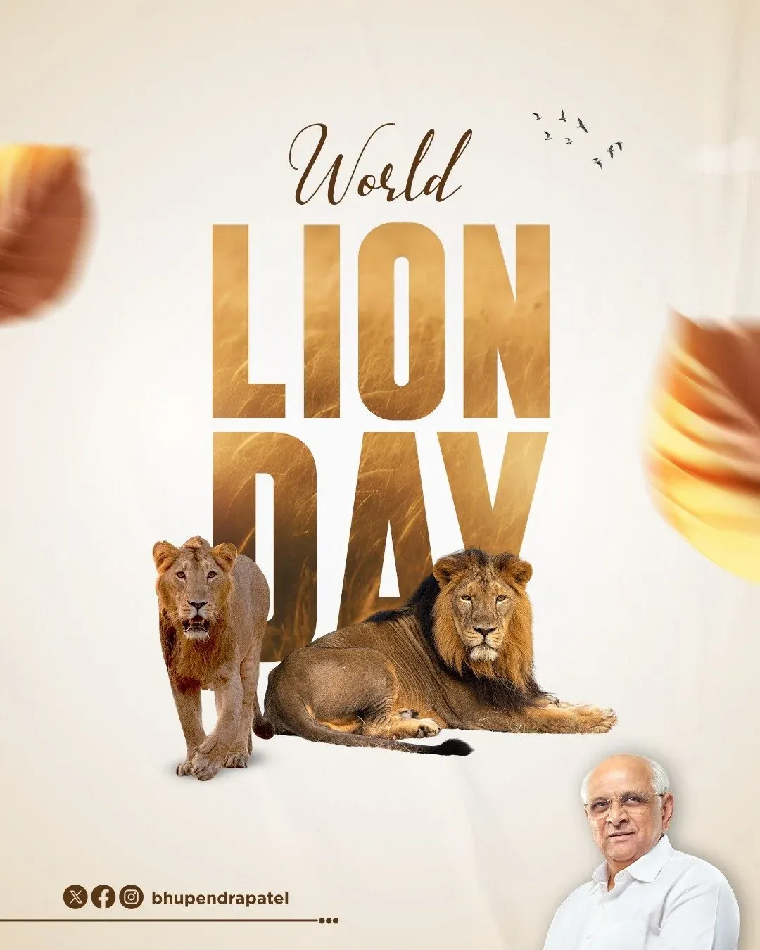 CM Bhupendra Patel Marks World Lion Day, Backs Project Lion