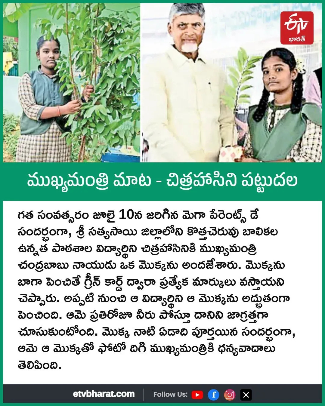 CM Chandrababu Praises Student Who Nurtured His Gift Plant