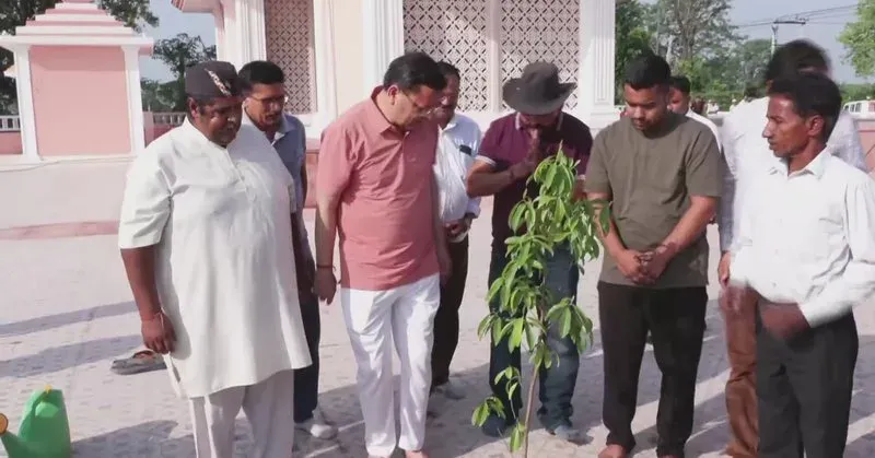 CM Dhami Leads Tree Plantation Drive at Purnagiri Temple