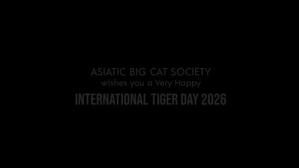 CM Fadnavis marks International Tiger Day with Asiatic Big Cat Society briefing