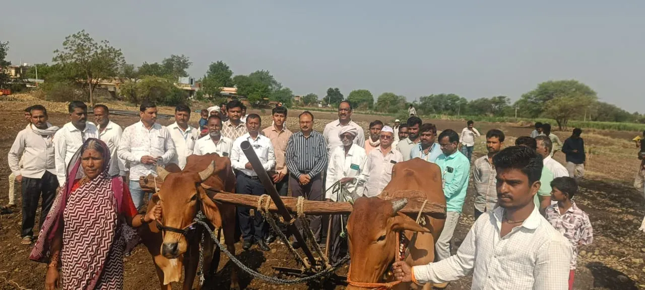 CM Fadnavis rushes bull, compensation to distressed Latur farmer
