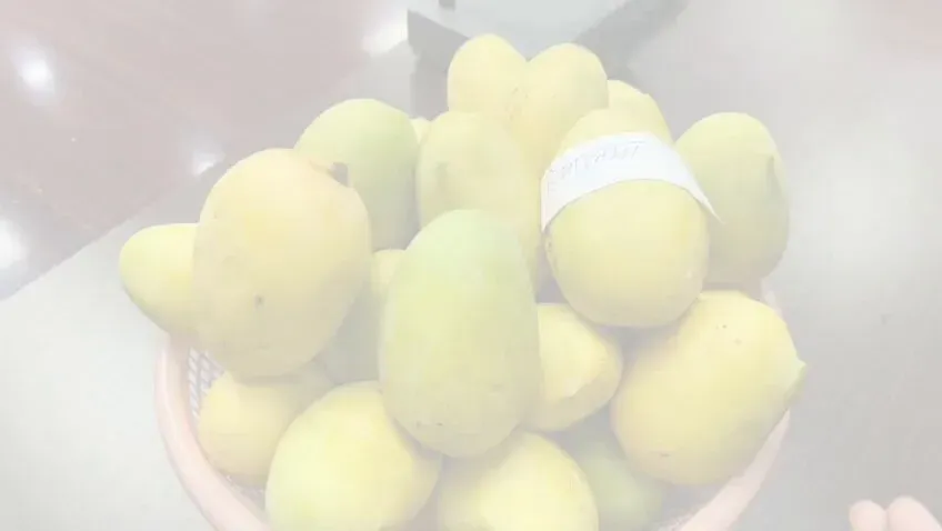CM Hemant Soren Hails Jharkhand Mango Farmers' Global Reach