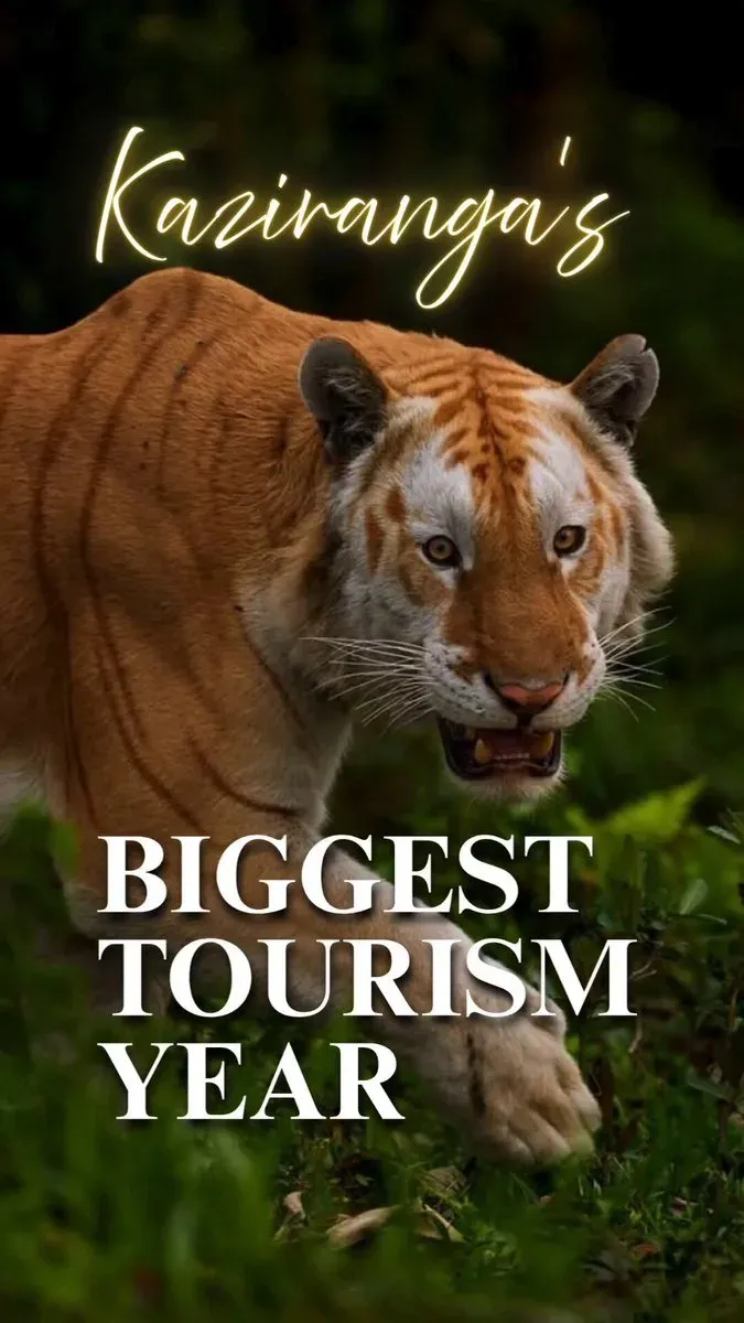 CM Himanta Highlights Kaziranga's 5.48 Lakh Visitor Surge