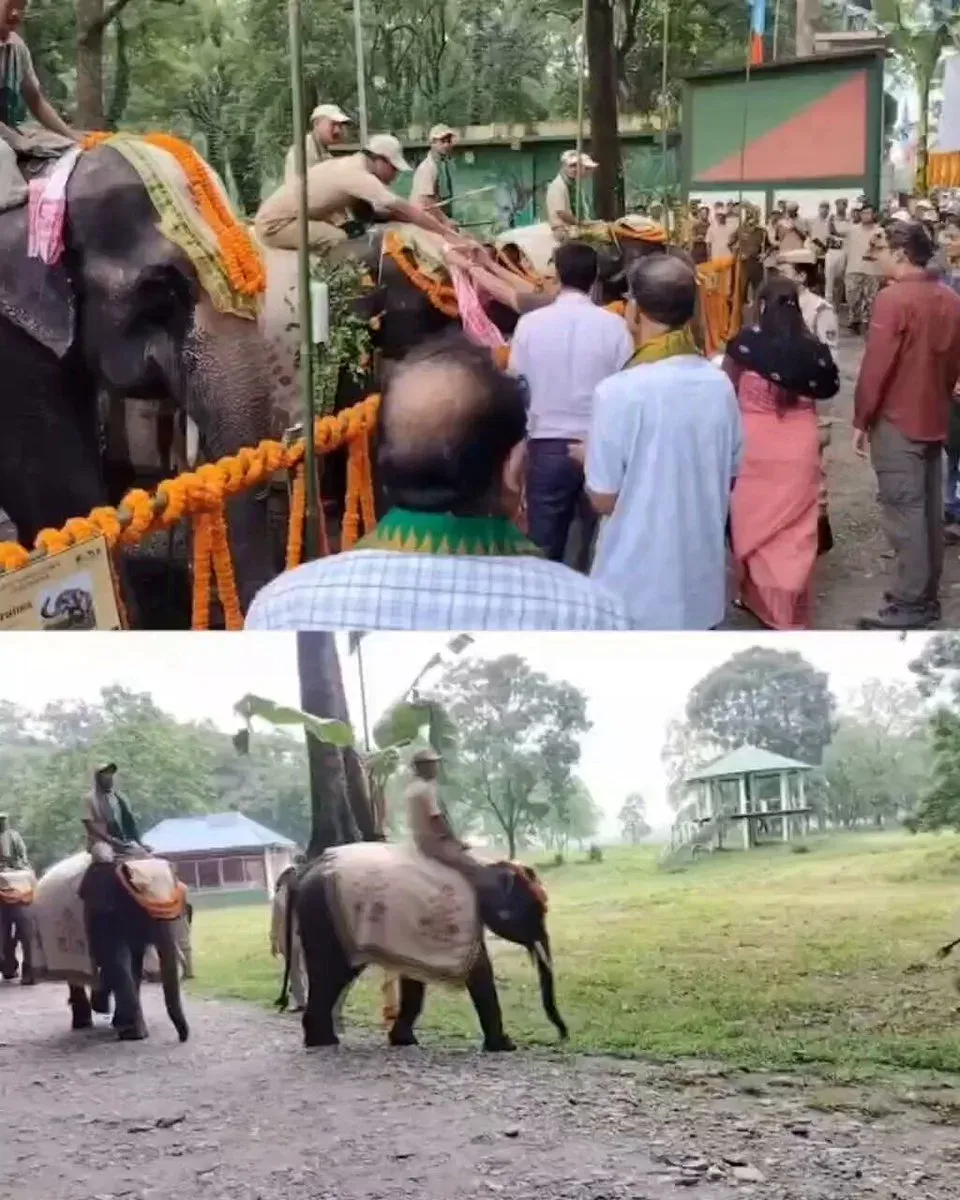 CM Himanta Honours Retiring Elephants at Manas Tiger Reserve
