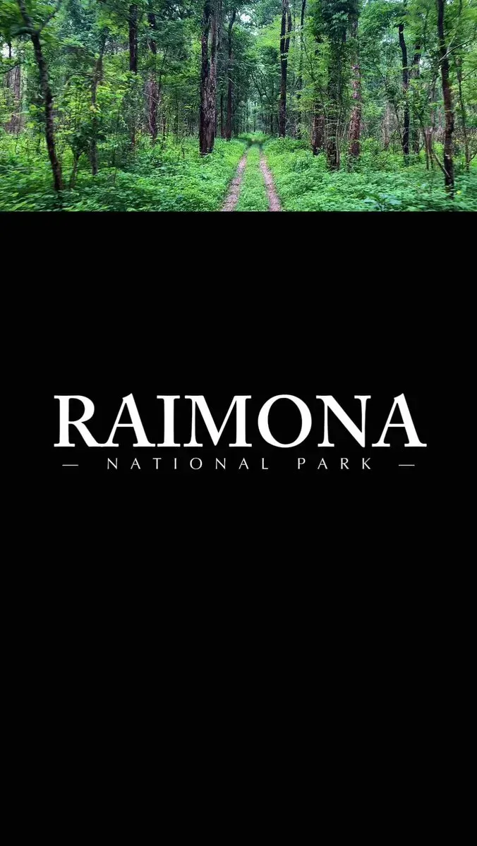 CM Himanta Marks Raimona National Park's 5-Year Conservation Milestone
