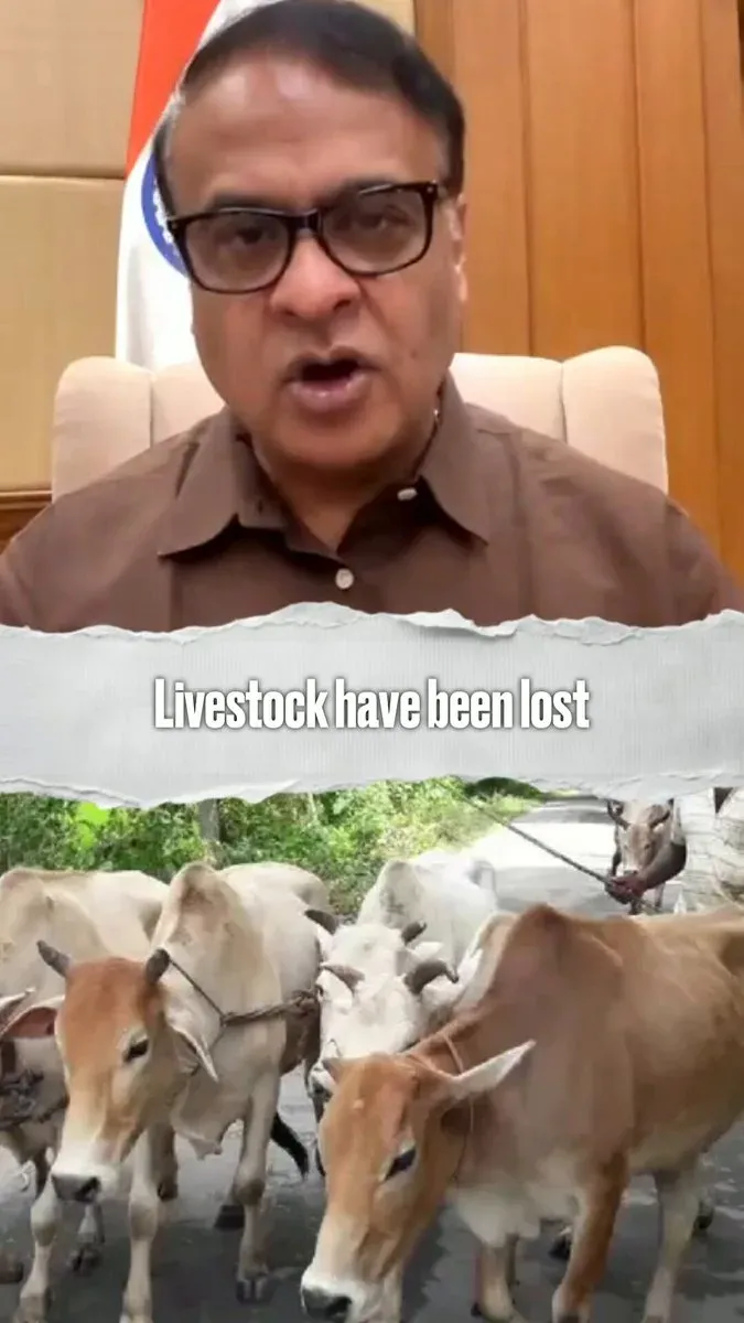 CM Himanta Promises Full Livestock, Handloom Compensation