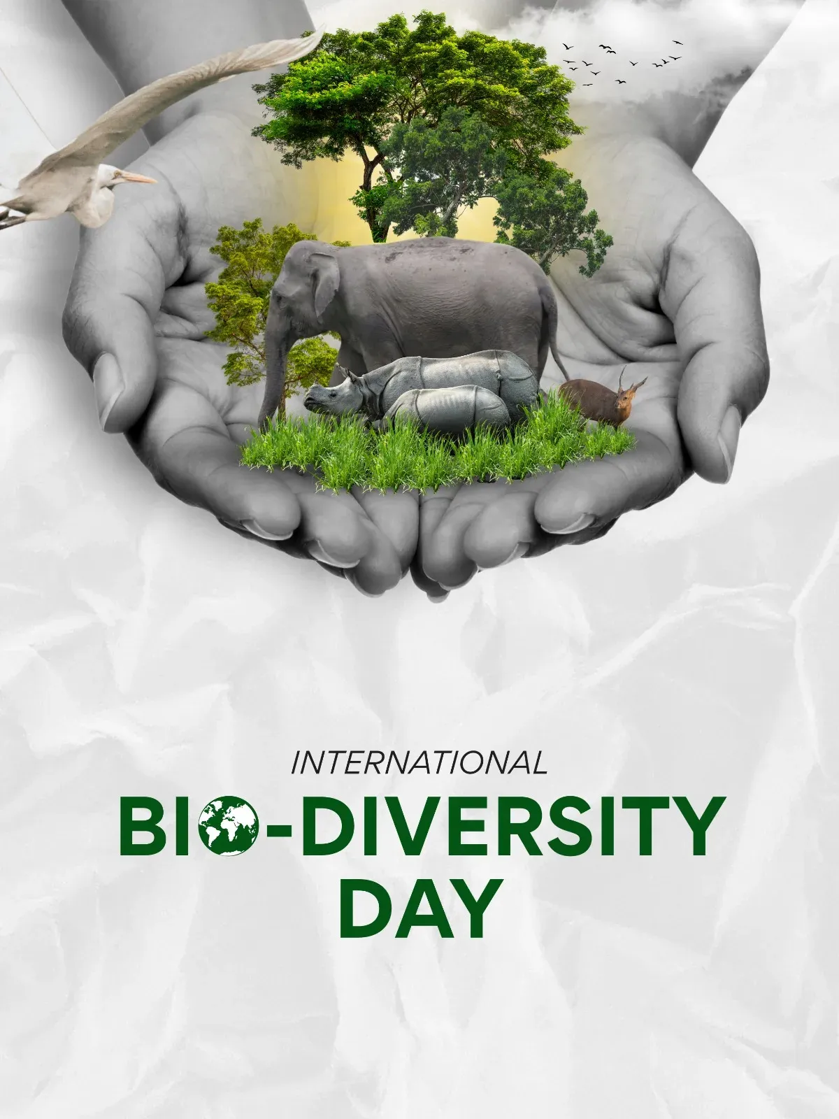 CM Himanta Reaffirms Assam's Biodiversity Commitment on World Environment Day