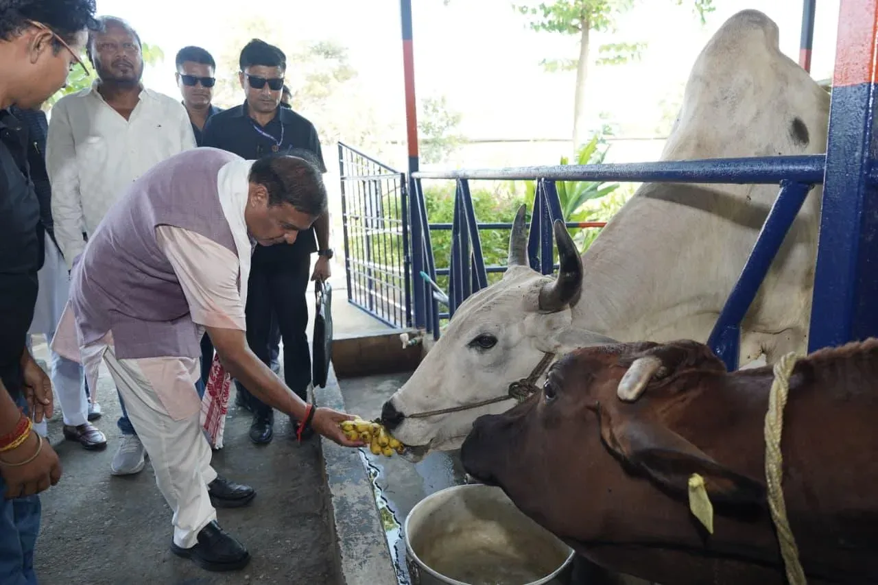 CM Himanta vows cow protection at any cost, cites Ramayana