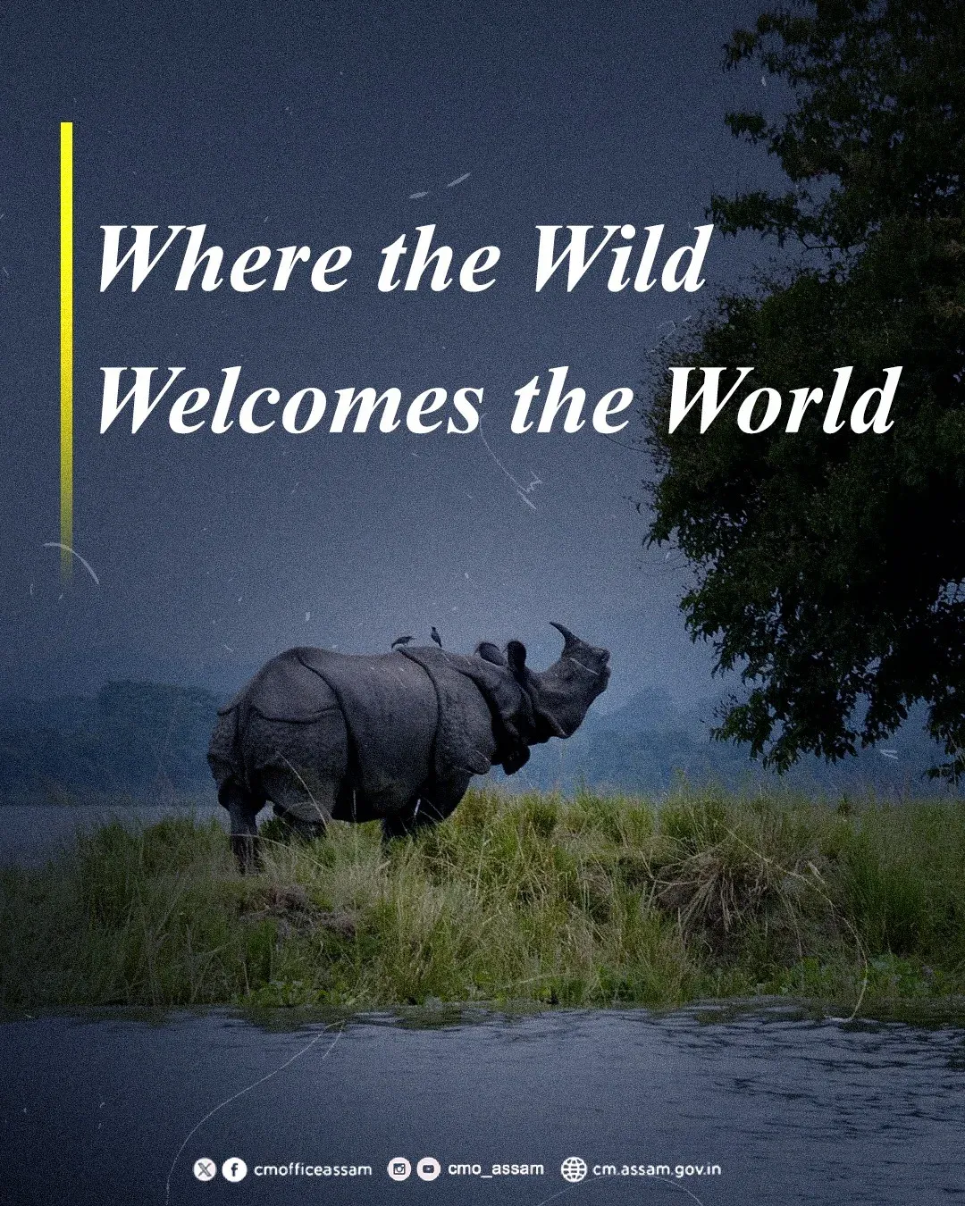 CM Himanta's Assam pitches Kaziranga, Manas as global eco-destinations