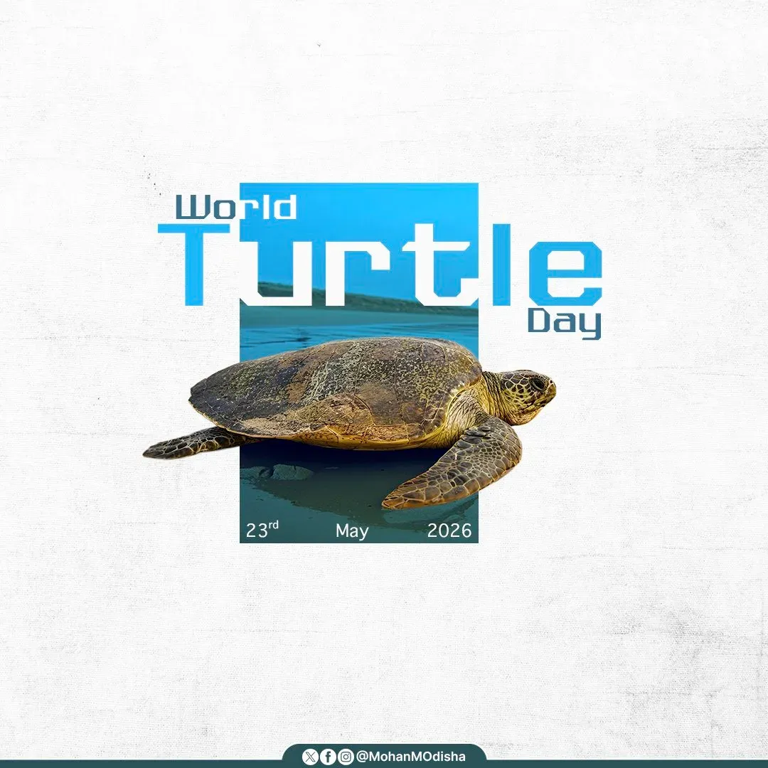 CM Majhi marks World Turtle Day, hails Odisha's Olive Ridley coast
