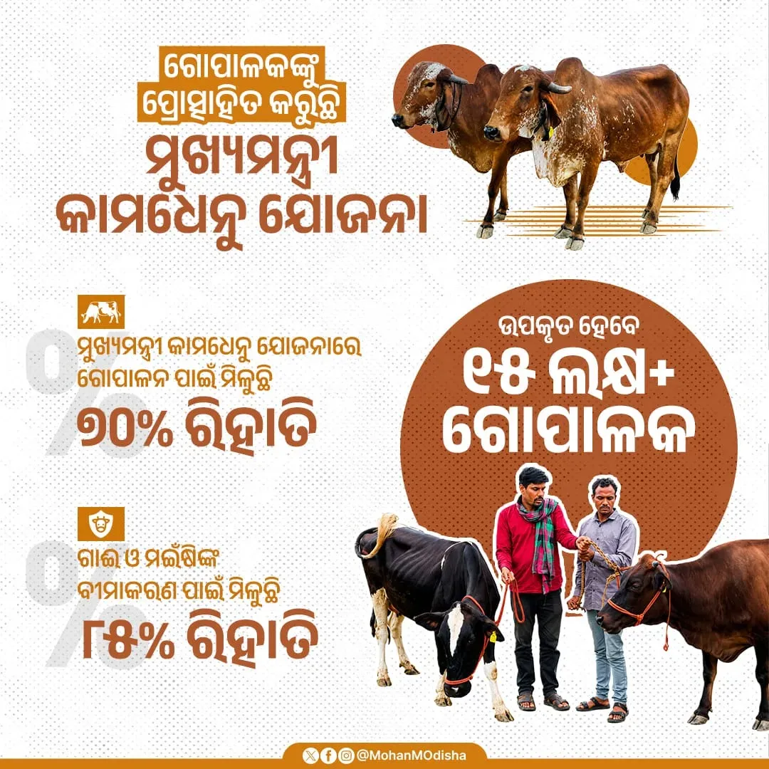 CM Majhi Pushes Dairy Growth via Kamdhenu Yojana Subsidies