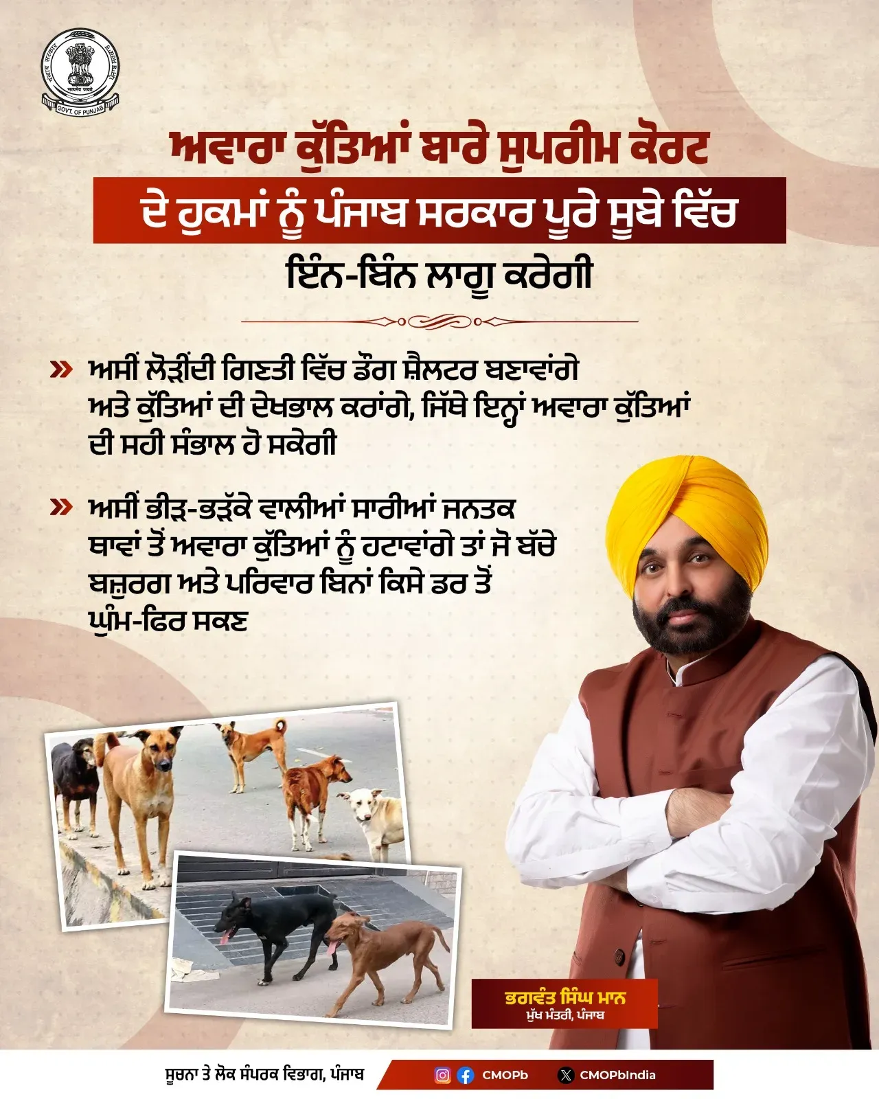 CM Mann: Punjab to enforce Supreme Court stray dog order