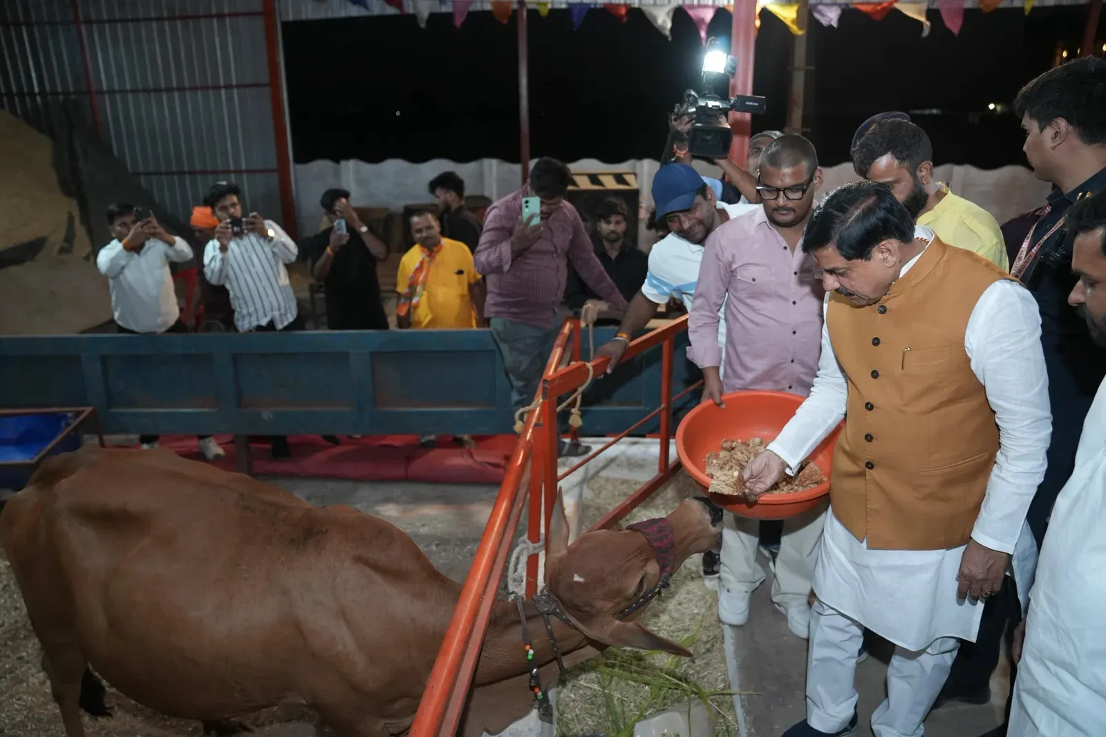 CM Mohan Yadav Feeds Cows in Ujjain, Seeks Blessings