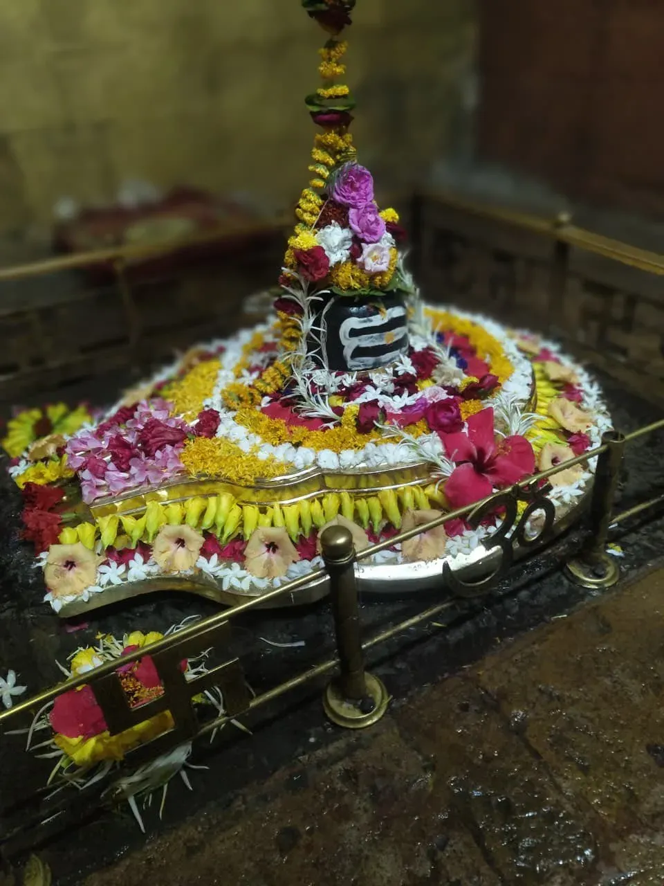 CM Mohan Yadav Seeks Mahadev's Blessings from Harda's Ridvanath Temple