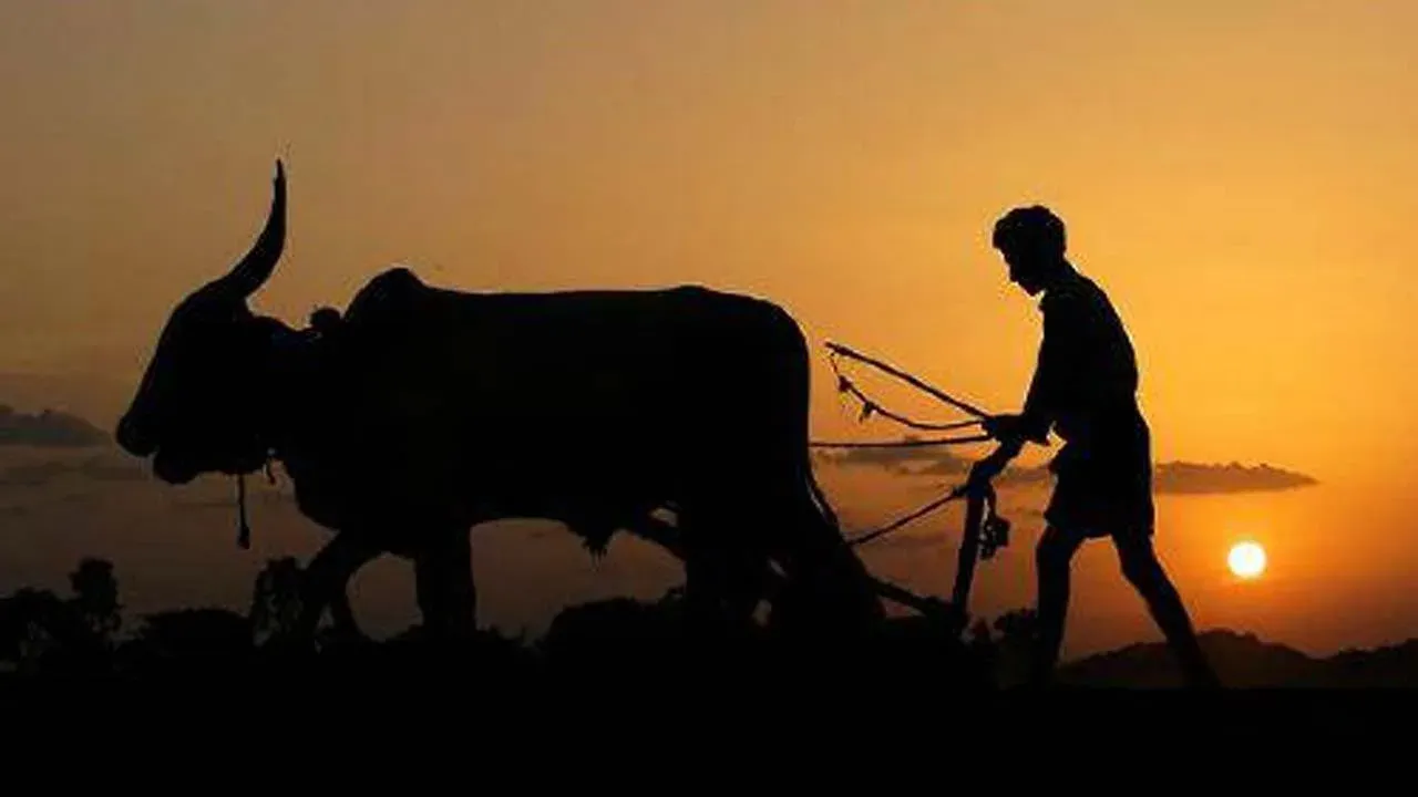 CM Naidu Greets Farmers on Eruvaka Punnami, Backs Natural Farming