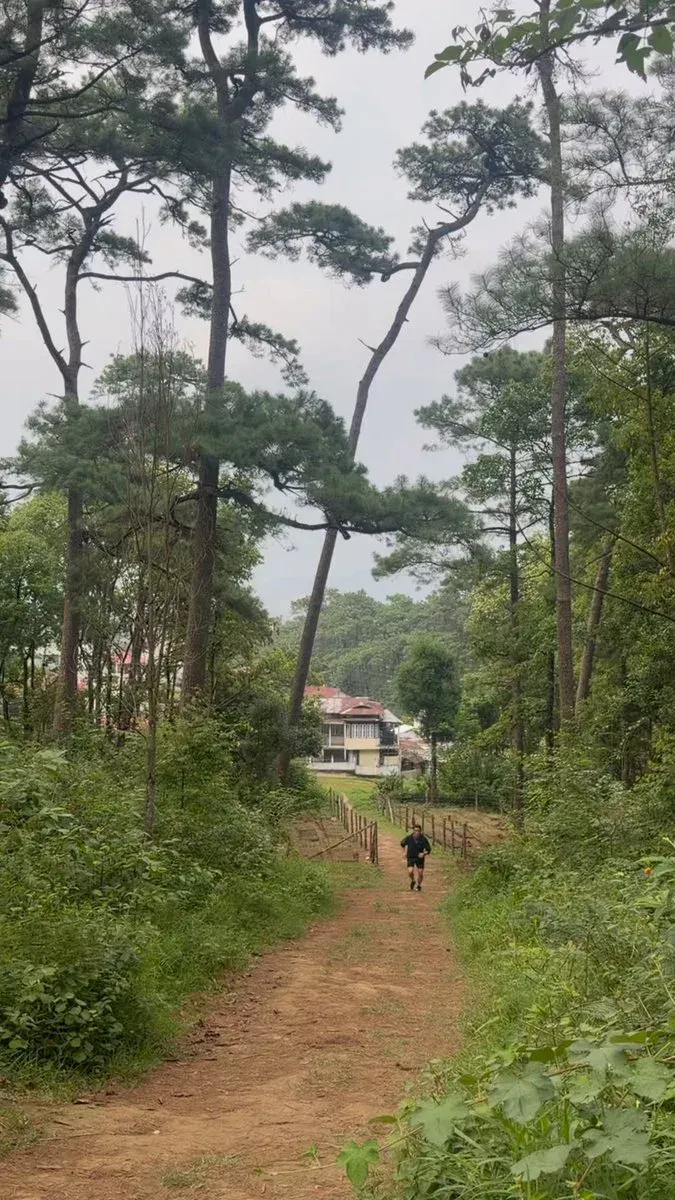 CM Pema Khandu Shares Shillong Forest Jog, Spotlights Northeast Trails