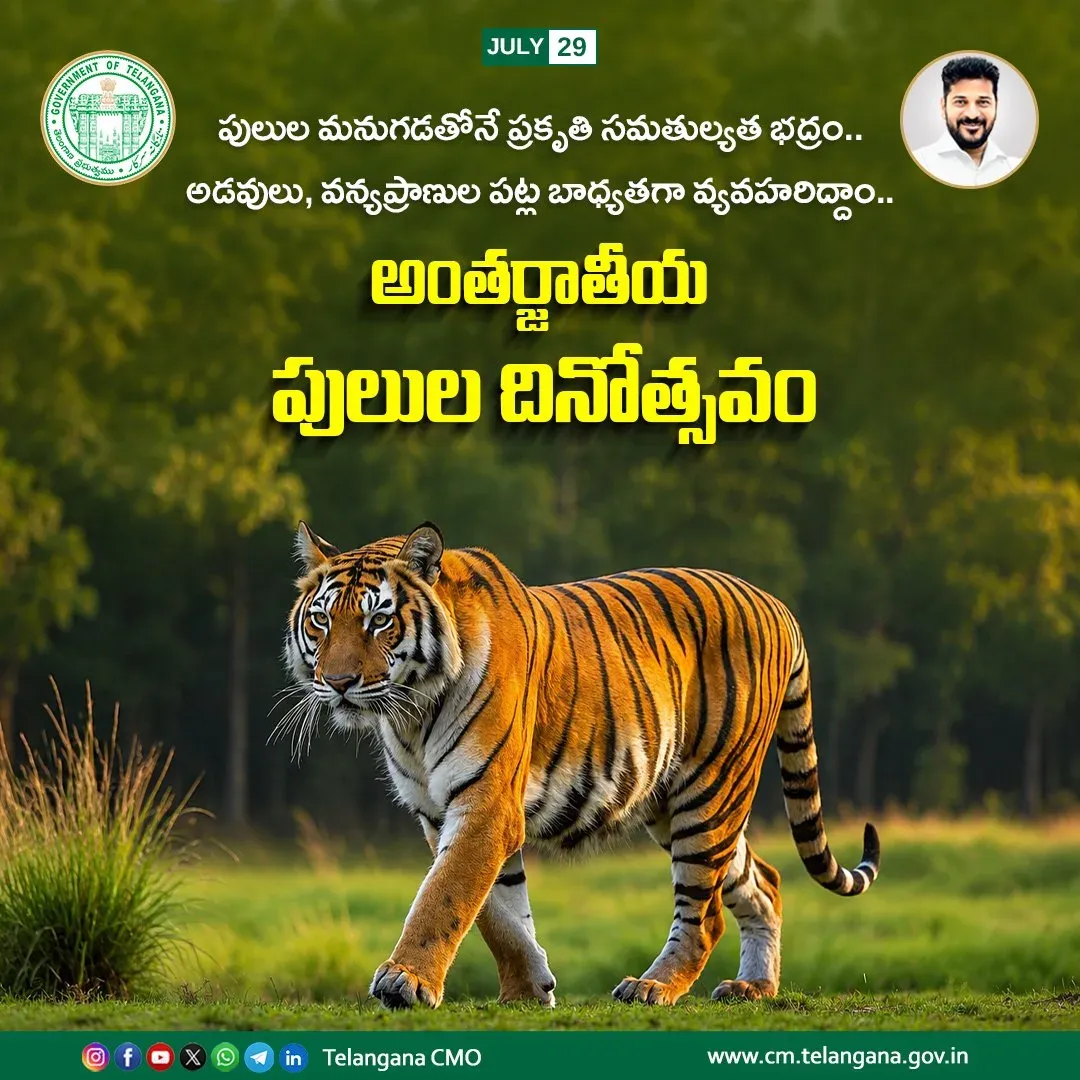 CM Revanth Reddy calls tiger conservation a social duty