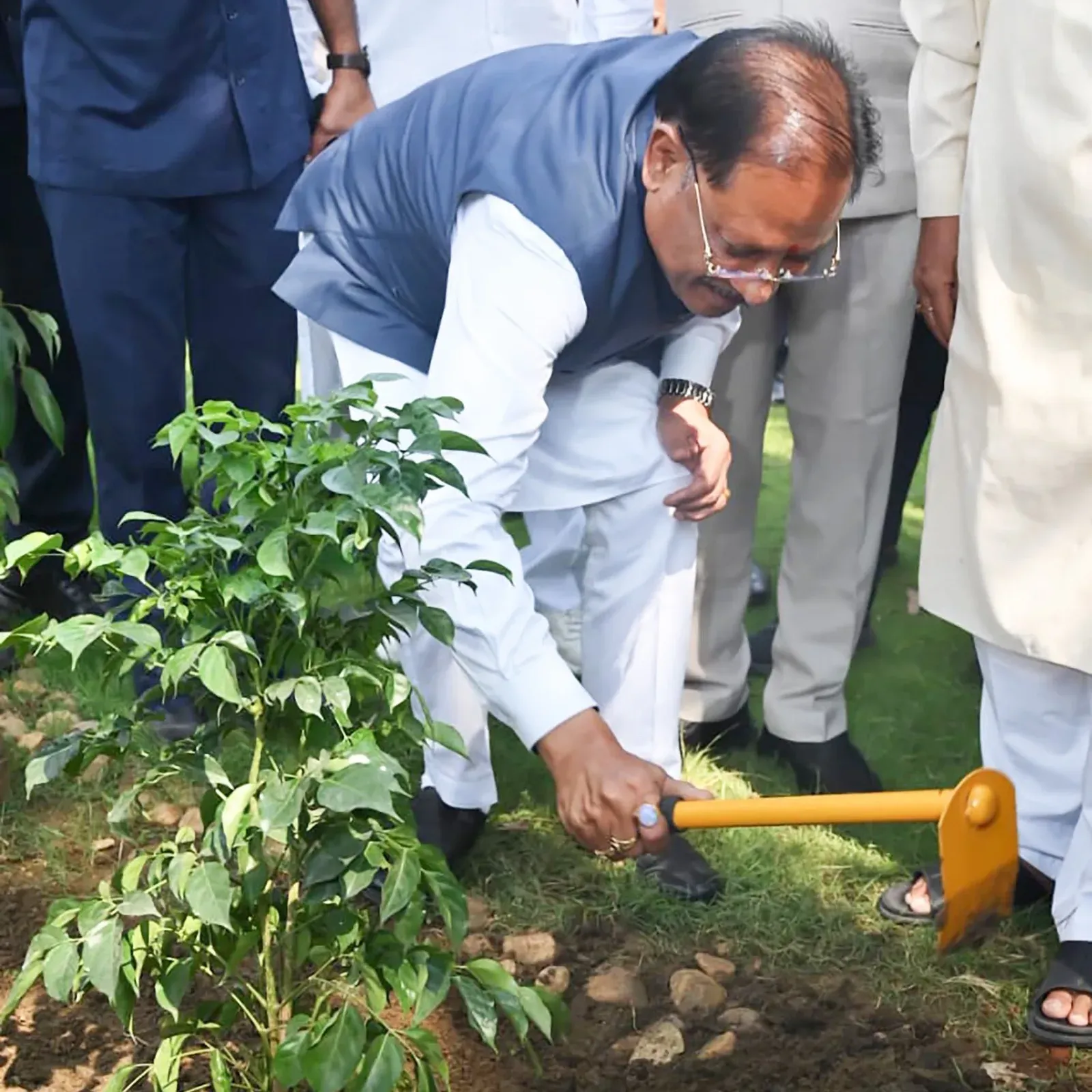 CM Sai Plants Saplings in Raipur on World Environment Day