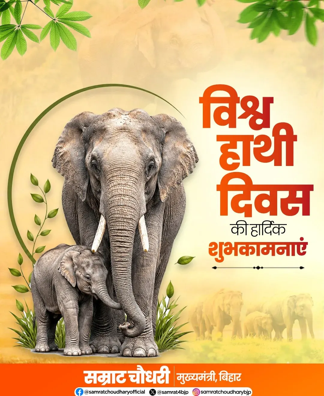 CM Samrat Choudhary marks World Elephant Day with conservation call