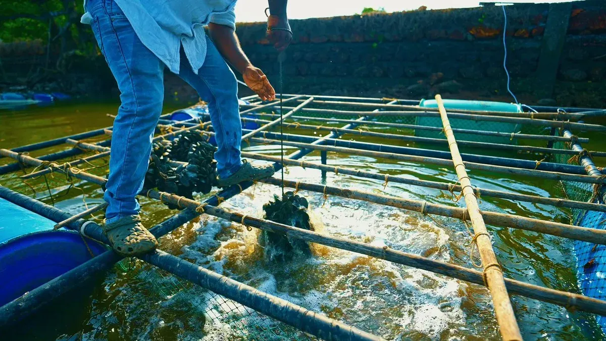 CM Sawant Highlights Goa Fish Farmer's PMMSY Success Story