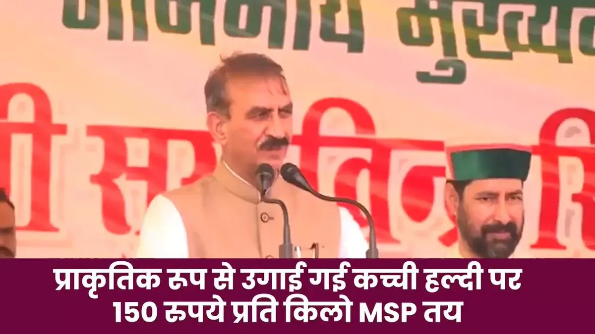 CM Sukhu Backs Turmeric at Rs 150/kg to Boost HP Farmers