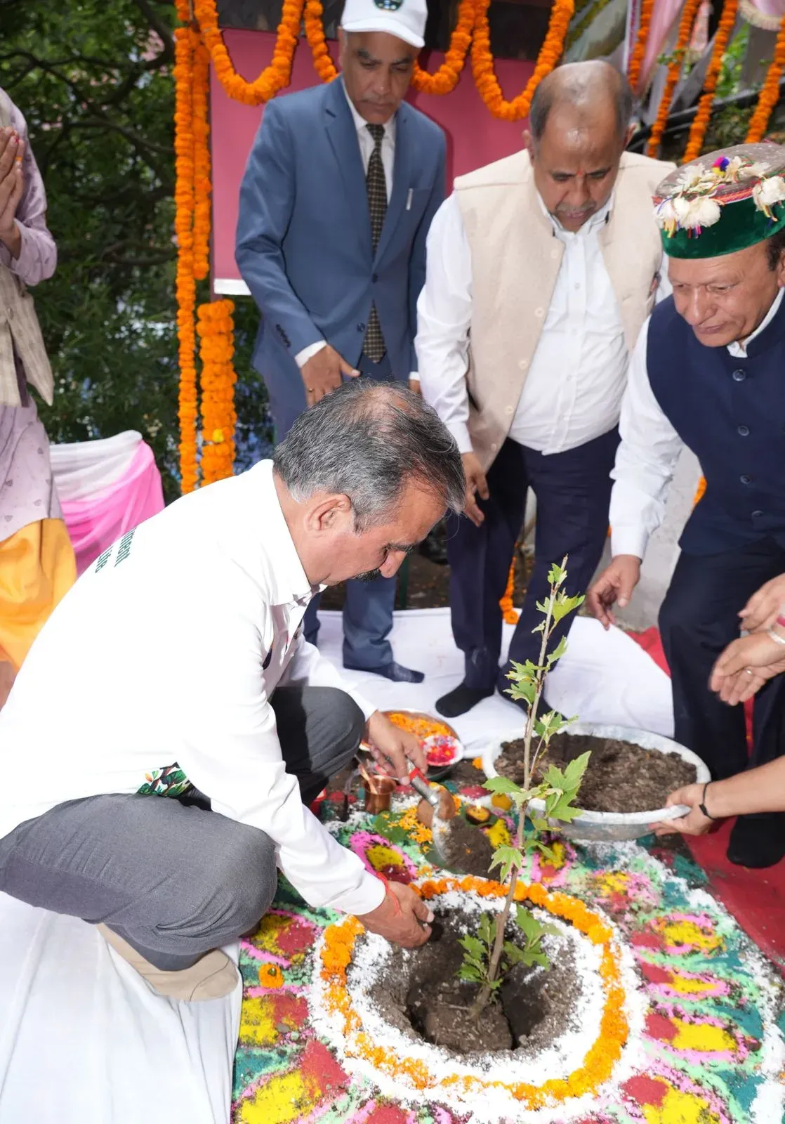 CM Sukhu Launches Chinar Tree Plantation Drive in Shimla