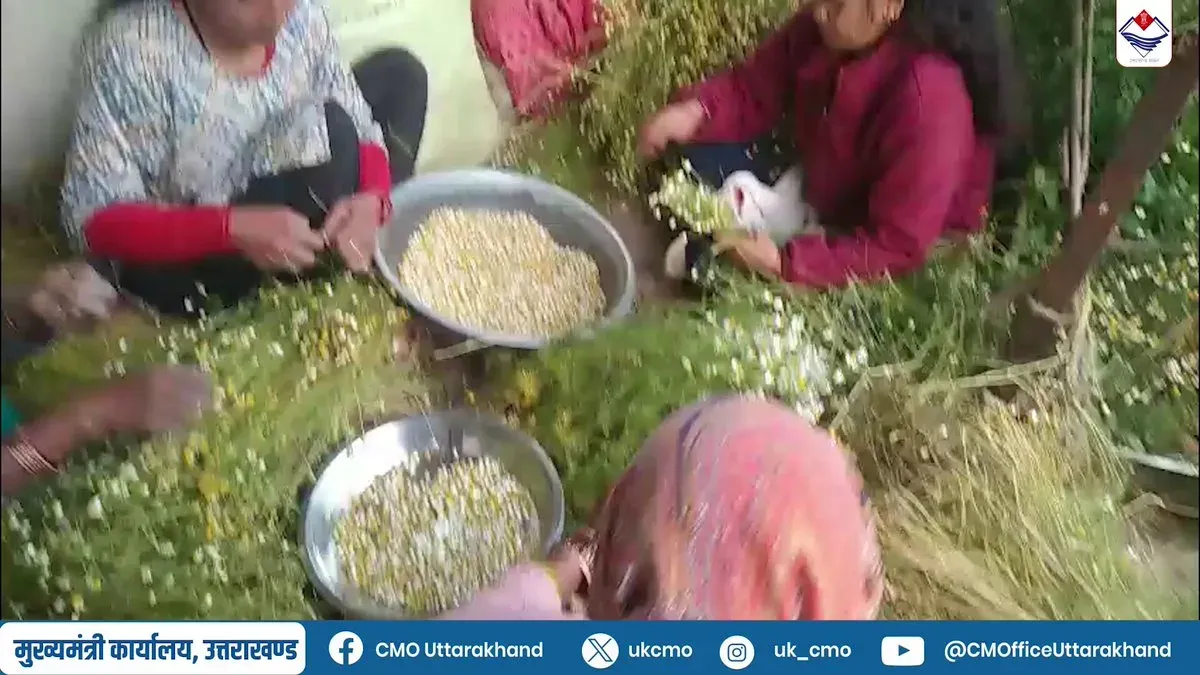 CM Uttarakhand: Aromatic Plant Cluster Empowers Rural Women