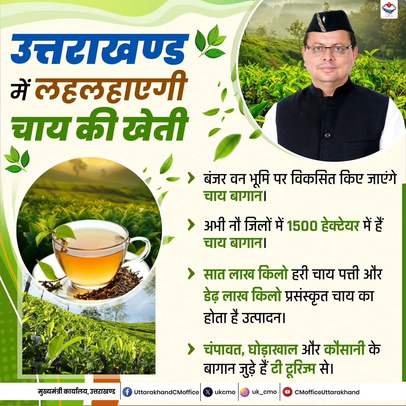 CM Uttarakhand Pushes Tea Cultivation Across Hill Districts