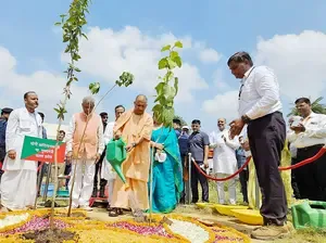 पौधरोपण महाभियान-2025 : सीएम योगी अयोध्या और आजमगढ़, राज्यपाल बाराबंकी में करेंगी पौधरोपण