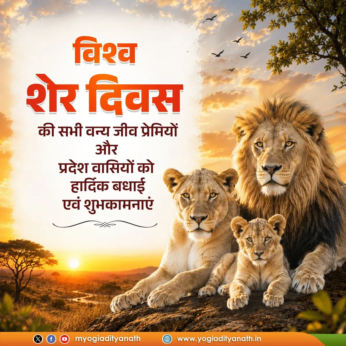 CM Yogi calls for lion conservation on World Lion Day