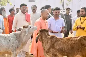 सीएम योगी के विजन और गऊ माता की कृपा से यूपी बनेगा वन ट्रिलियन इकोनॉमी