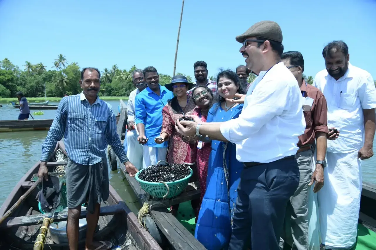 CMFRI's Vembanad black clam project yields 40 tonnes from 5-tonne seed stock