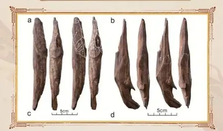 सीएमजी ने वर्ष 2025 की दस सबसे बड़ी घरेलू और अंतर्राष्ट्रीय पुरातत्व खबरें जारी कीं