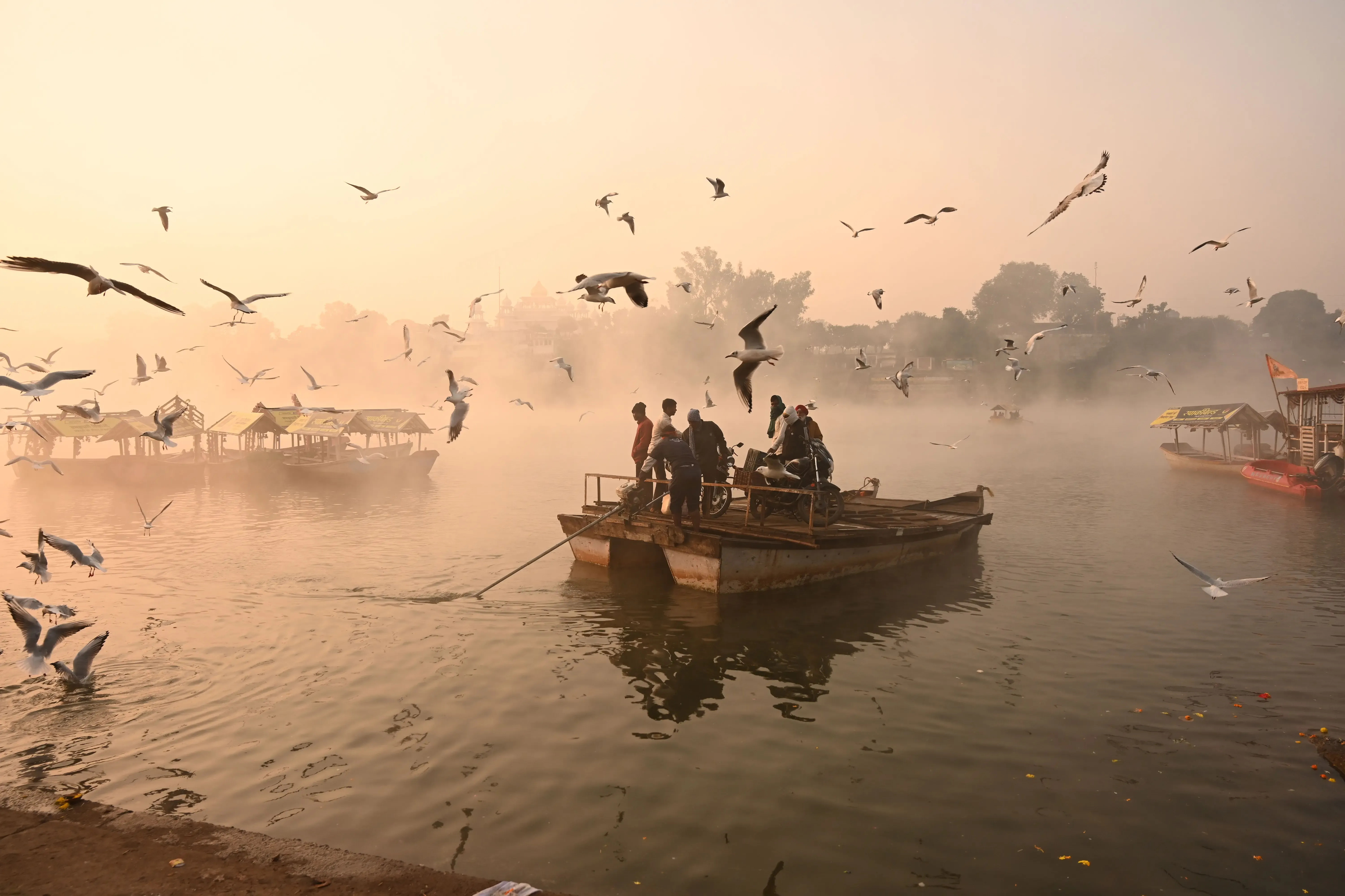 Is the cold wave in MP causing temperatures to plunge to 1.8 degrees Celsius?