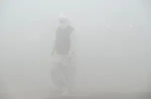 Severe Cold Wave Hits Rajasthan, Visibility Drops Below 30 Metres Due to Dense Fog