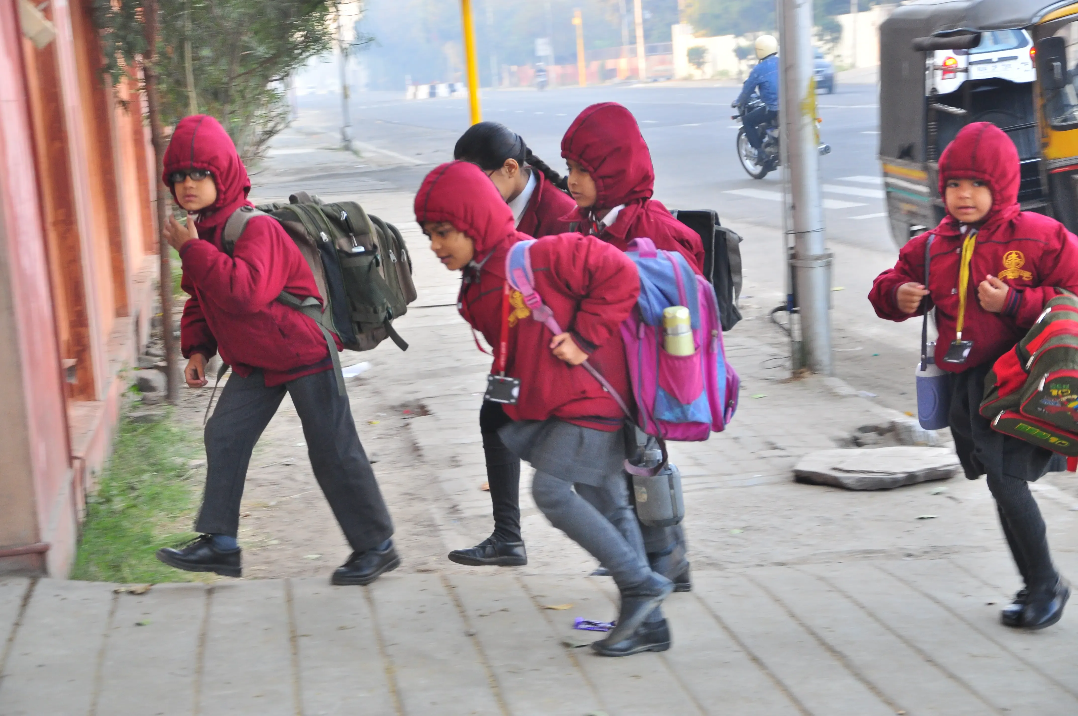 Rajasthan Government Closes Schools for Classes 1 to 8 Due to Cold Wave