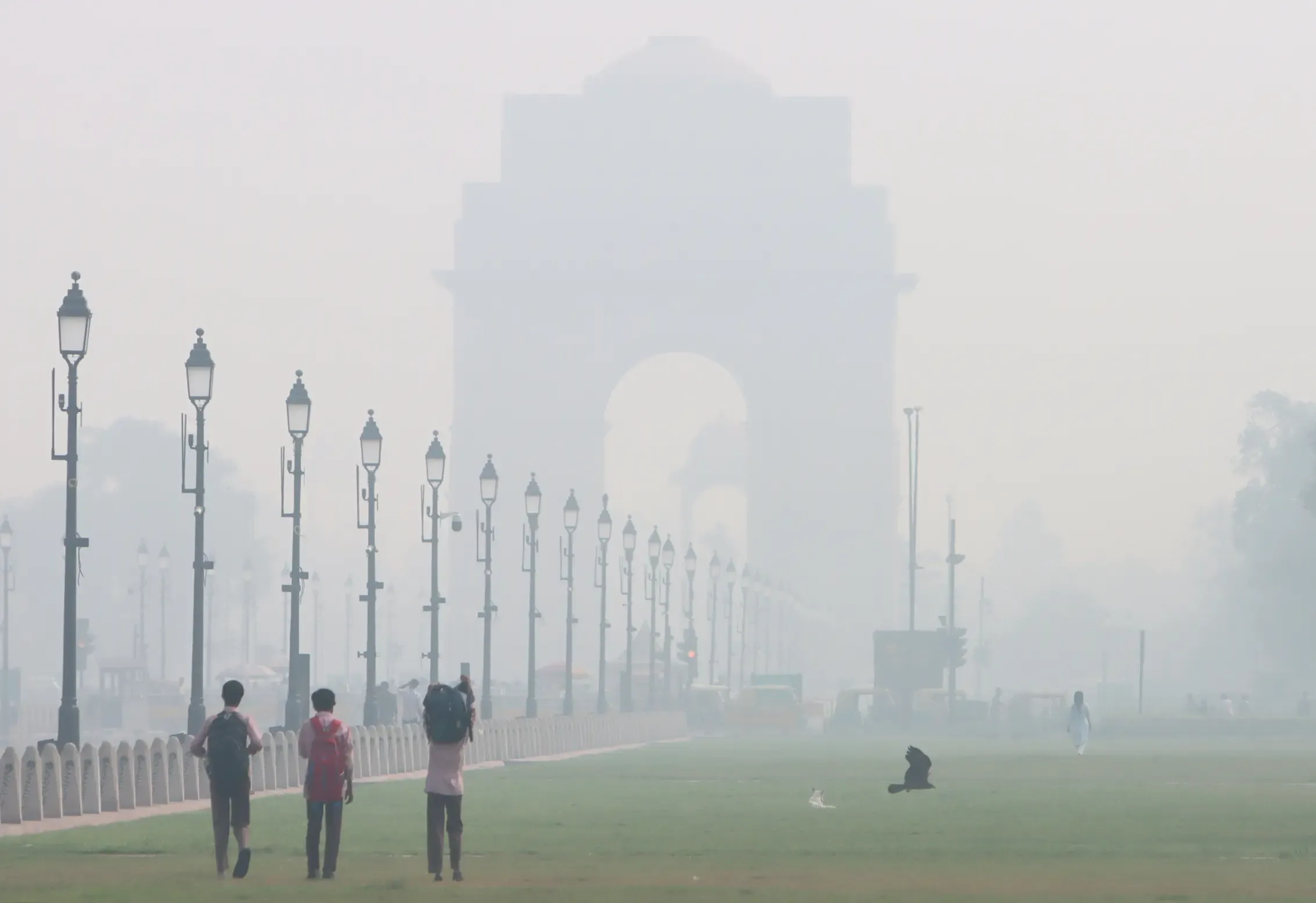 Chilly Winds and Foggy Weather Set to Persist in Delhi-NCR