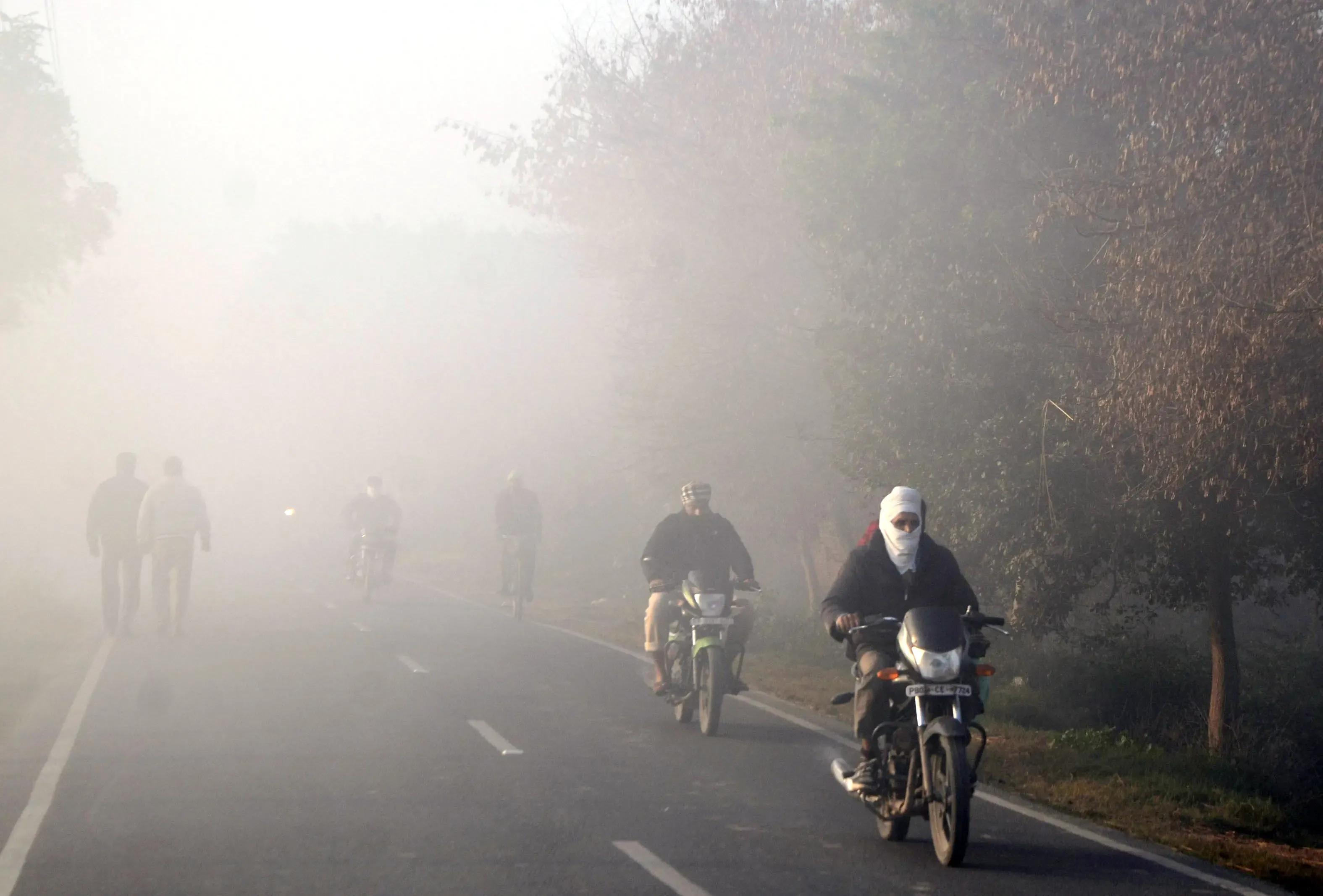 What Factors Led to the Surge in Commercial Vehicle and 2-Wheeler Sales in October?