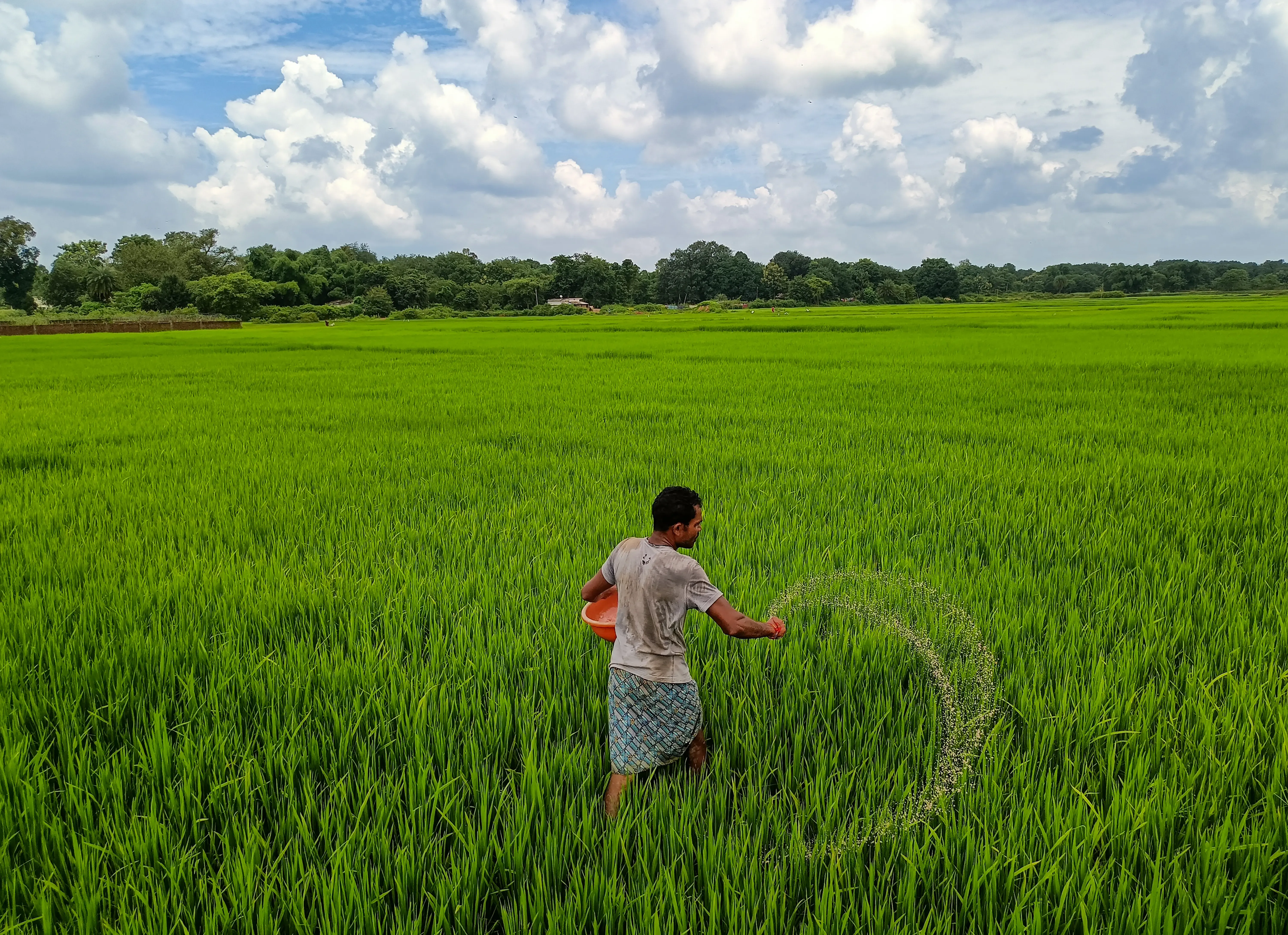 Will Complex Fertiliser Volumes Rise by 2-4% Amid Geopolitical Challenges?
