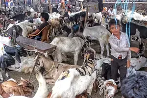 Conclave on Livestock Development in Meghalaya Set for January 23
