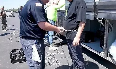 Congressional report says immigration raid raises concerns about South Korea-US relationship