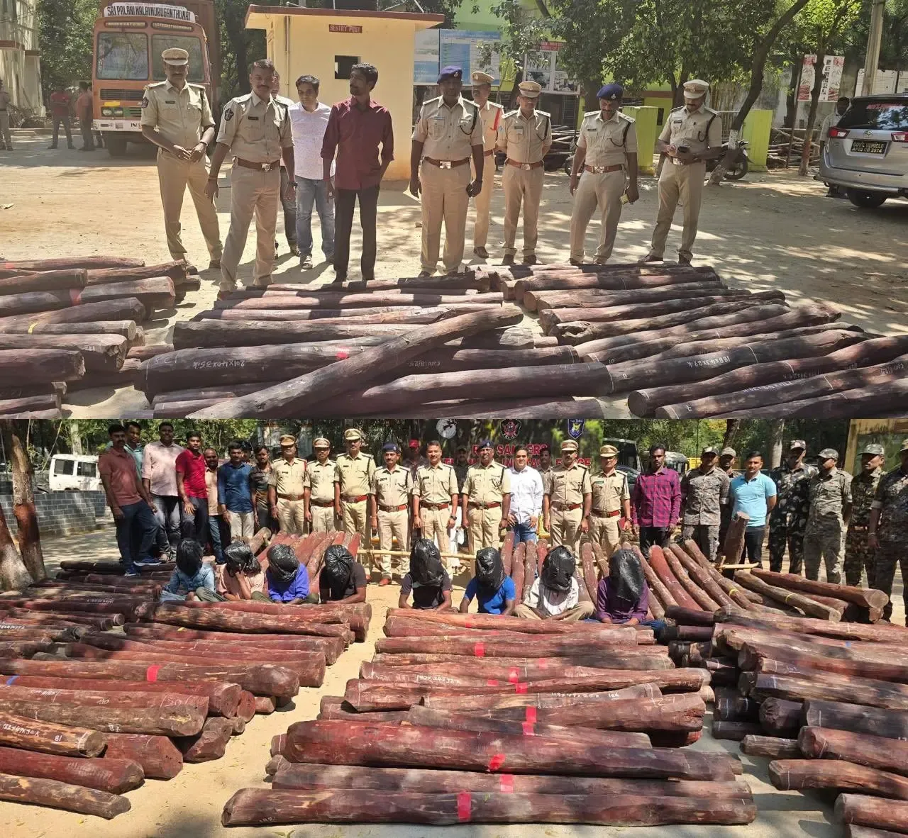 The Critical Need for Red Sanders Conservation: Pawan Kalyan