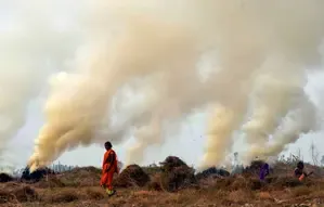 Should the Government Consider Arrests to Stop Stubble Burning?