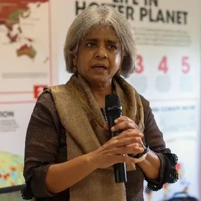 Will Developing Nations Be Left Behind in the Green Economy Race?