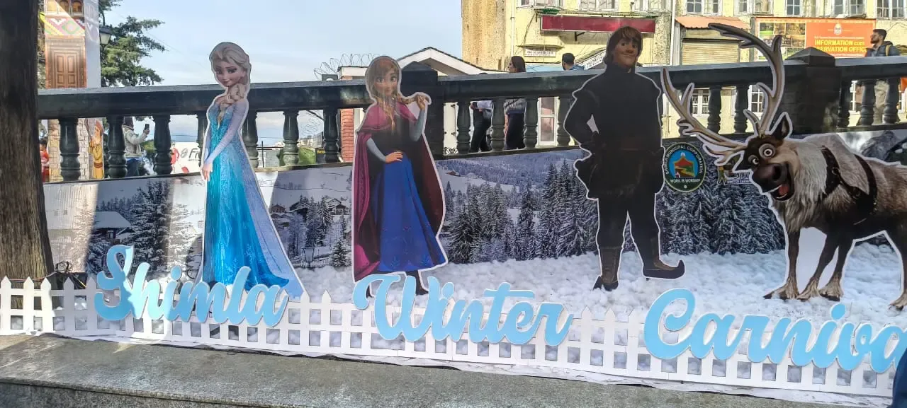Why is Cotton Replacing Snow in Shimla’s Winter Postcard This Season?