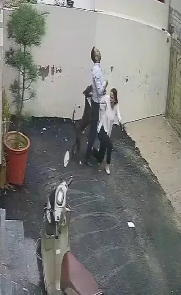Pitbull attacks couple viewing rental home in Patiala; CCTV footage sparks safety debate