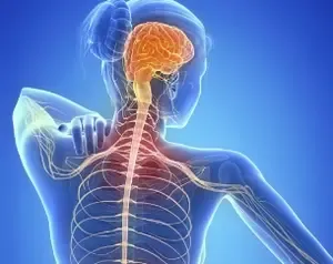 Study Reveals Covid-19 Does Not Aggravate Multiple Sclerosis Symptoms