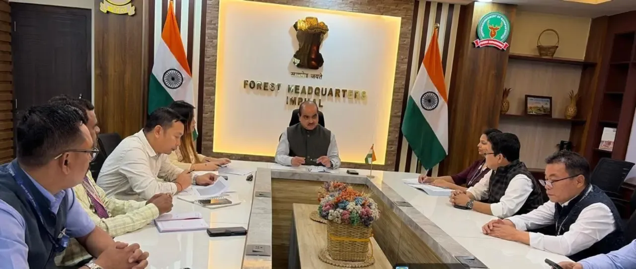 Should Airlines Reduce Airfares and Increase Flights?