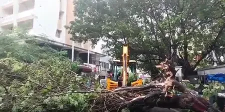 Cyclone Arnab makes landfall in Andhra Pradesh, heavy rain batters coastal districts